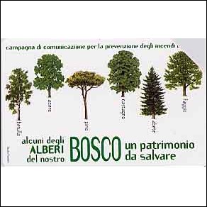 Jeps - a 20 CENTESIMI.... Bosco da salvare - alberi