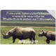 Jeps - a 20 CENTESIMI.... Il rinoceronte bianco