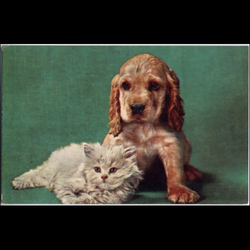 Jeps - cartolina tematica ANIMALI - Gattino e cagnolino