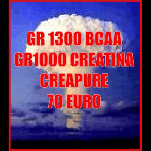 integratori creatina g1000 creapure + bcaa gr 1300 aminoacid