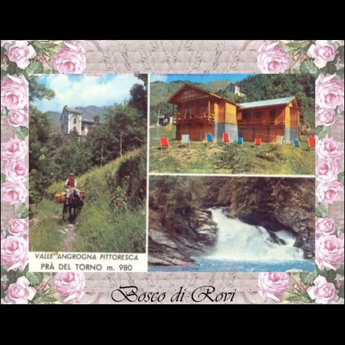 CARTOLINA VIAGGIATA -Postcard Piemonte -Italy    (0012)