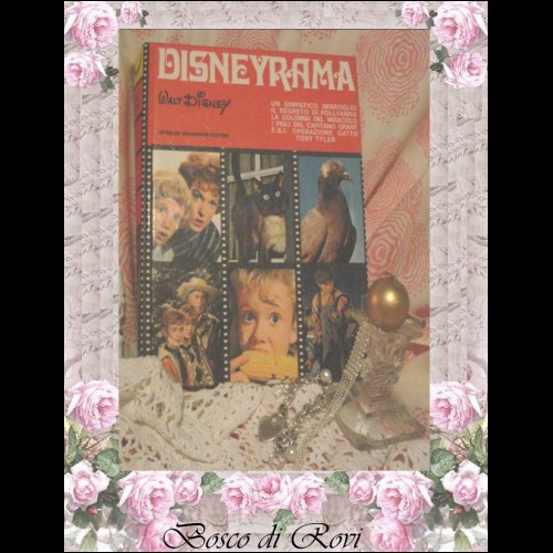 DISNEYRAMA-Libro (00319