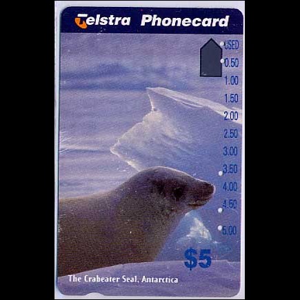 Jeps - Belle Schede Straniere ...AUSTRALIA - foca antartica