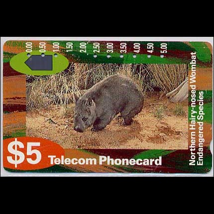Jeps - Belle Schede Straniere ...AUSTRALIA - wombat