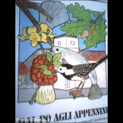 Ligabue Dal Po agli Appennini 1989 Prov. di Modena