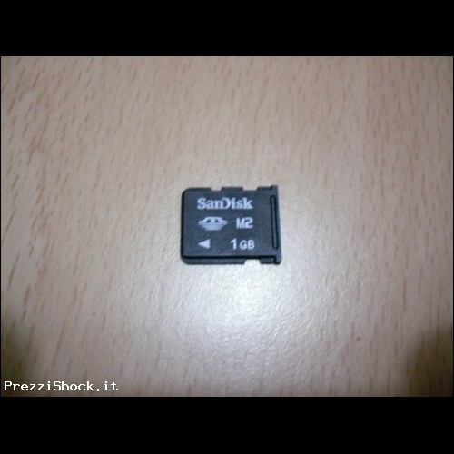 MEMORY CARD M2 DA 1GB