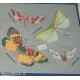 adesivi stickers scrapbooking farfalle fosforescente 3D